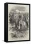 The Chasseurs D'Afrique-Edmond Morin-Framed Stretched Canvas