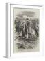 The Chasseurs D'Afrique-Edmond Morin-Framed Giclee Print