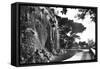 The Chateau Waterfall, Nice, South of France, Early 20th Century-null-Framed Stretched Canvas