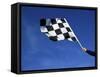 The Checkered Flag-null-Framed Stretched Canvas