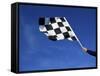 The Checkered Flag-null-Framed Stretched Canvas