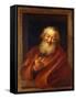 The Cheerful Democritus-Charles Antoine Coypel-Framed Stretched Canvas