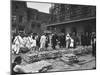 The Cheese Market on Friday, Alkmaar, Netherlands, C1934-null-Mounted Giclee Print