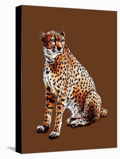 The Cheetah on Burnt Orange, 2020, (Pen and Ink)-Mike Davis-Stretched Canvas