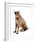 The Cheetah on White, 2020, (Pen and Ink)-Mike Davis-Framed Giclee Print