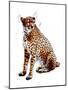 The Cheetah on White, 2020, (Pen and Ink)-Mike Davis-Mounted Giclee Print