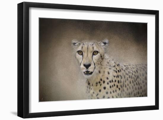 The Cheetah-Jai Johnson-Framed Giclee Print