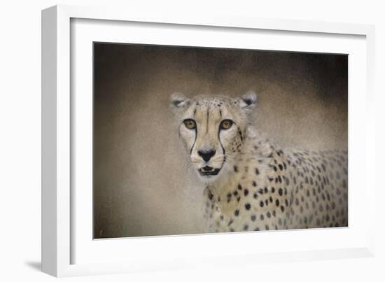 The Cheetah-Jai Johnson-Framed Giclee Print