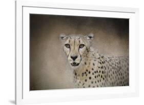 The Cheetah-Jai Johnson-Framed Giclee Print