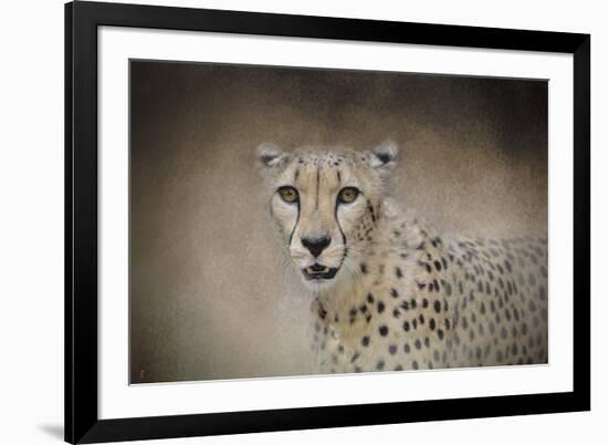 The Cheetah-Jai Johnson-Framed Giclee Print