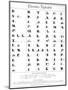 The Cherokee Alphabet-null-Mounted Giclee Print