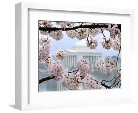 The Cherry Blossoms are in Full Bloom Along the Tidal Basin in Washington-null-Framed Photographic Print