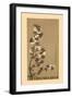 'The Cherry Blossoms of Mikawa', 19th century, (1886)-Wilhelm Greve-Framed Giclee Print