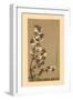 'The Cherry Blossoms of Mikawa', 19th century, (1886)-Wilhelm Greve-Framed Giclee Print