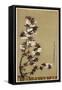 The Cherry Blossoms of Mikawa, 19th Century-Wilhelm Greve-Framed Stretched Canvas