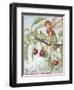 The Cherry Tree Fairy-Vision Studio-Framed Art Print