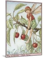 The Cherry Tree Fairy-Vision Studio-Mounted Art Print