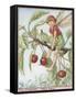 The Cherry Tree Fairy-Vision Studio-Framed Stretched Canvas