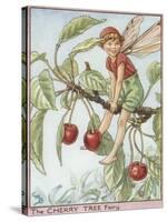 The Cherry Tree Fairy-Vision Studio-Stretched Canvas
