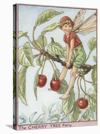 The Cherry Tree Fairy-Vision Studio-Stretched Canvas