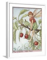 The Cherry Tree Fairy-Vision Studio-Framed Art Print