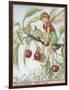 The Cherry Tree Fairy-Vision Studio-Framed Art Print