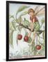 The Cherry Tree Fairy-Vision Studio-Framed Art Print