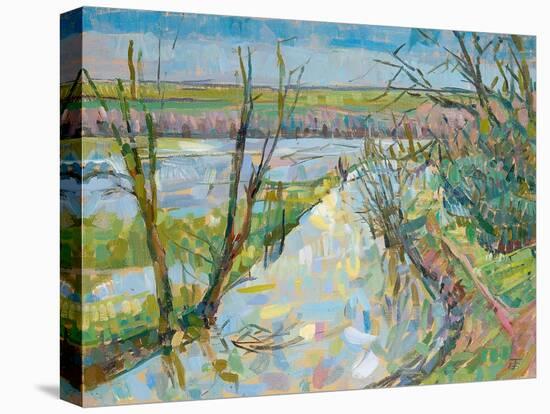 The Cherwell from Rousham I-Erin Townsend-Stretched Canvas