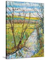 The Cherwell from Rousham II-Erin Townsend-Stretched Canvas