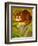 The Cheshire Cat at Daresbury-Frances Broomfield-Framed Giclee Print