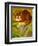 The Cheshire Cat at Daresbury-Frances Broomfield-Framed Premium Giclee Print