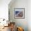 The Chesil Beach, 2000-Liz Wright-Framed Giclee Print displayed on a wall