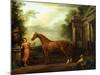 The Chestnut Arabian of Hampton Court, C.1726-John Wootton-Mounted Giclee Print