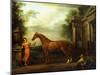 The Chestnut Arabian of Hampton Court, C.1726-John Wootton-Mounted Giclee Print