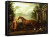 The Chestnut Arabian of Hampton Court, C.1726-John Wootton-Framed Stretched Canvas