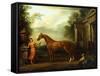 The Chestnut Arabian of Hampton Court, C.1726-John Wootton-Framed Stretched Canvas