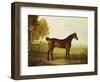 The Chestnut Hunter 'Berry Brown' in a Field by an Estuary, with Sailing Ships in the Distance-Benjamin Marshall-Framed Giclee Print