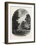 The Chestnuts and Deer in Bushey Park, UK-null-Framed Giclee Print