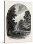 The Chestnuts in Bushey Park, the Forest Scenery Of19th Century-null-Stretched Canvas