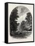 The Chestnuts in Bushey Park, the Forest Scenery Of19th Century-null-Framed Stretched Canvas