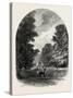 The Chestnuts in Bushey Park, the Forest Scenery Of19th Century-null-Stretched Canvas