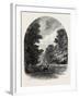 The Chestnuts in Bushey Park, the Forest Scenery Of19th Century-null-Framed Giclee Print