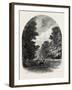 The Chestnuts in Bushey Park, the Forest Scenery Of19th Century-null-Framed Giclee Print