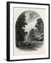 The Chestnuts in Bushey Park, the Forest Scenery Of19th Century-null-Framed Giclee Print
