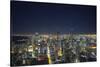 The Chicago Skyline from the John Hancock Center at Night-Jon Hicks-Stretched Canvas