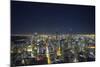 The Chicago Skyline from the John Hancock Center at Night-Jon Hicks-Mounted Photographic Print