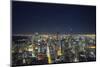 The Chicago Skyline from the John Hancock Center at Night-Jon Hicks-Mounted Photographic Print