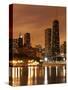 The Chicago Skyline Seen from the Navy Pier on a Rainy Day, USA-David Bank-Stretched Canvas