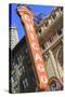 The Chicago Theater Sign Has Become an Iconic Symbol of the City, Chicago, Illinois, USA-Amanda Hall-Stretched Canvas