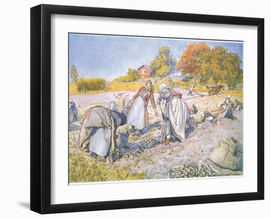 The Children Filled the Buckets and Baskets with Potatoes-Carl Larsson-Framed Giclee Print